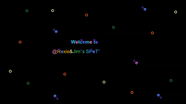 🏠 @🐶&🙍‍♂️°s SP🏠T°